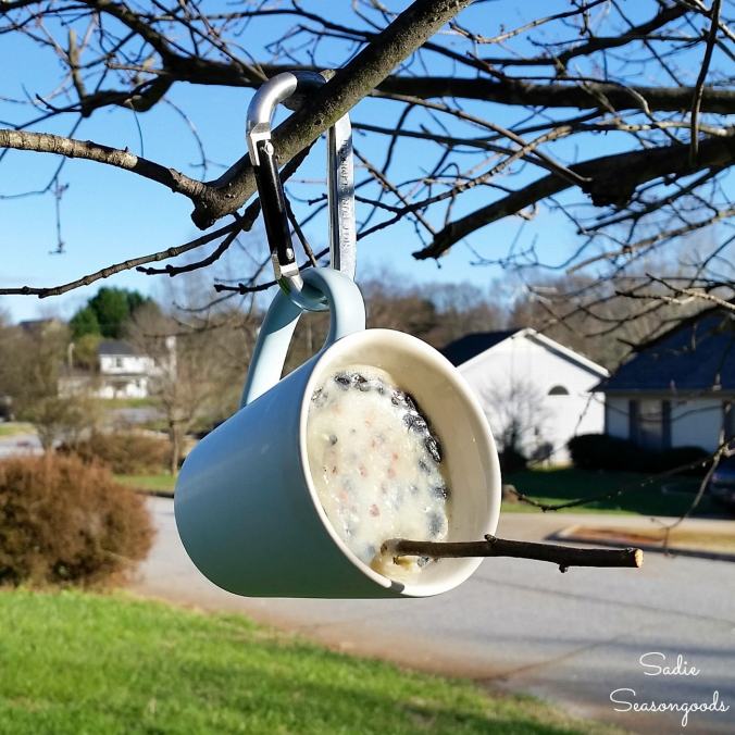 How-to-make-bird-suet-for-a-suet-feeder-in-a-ceramic-coffee-mug-as-a-DIY-bird-feeder-for-the-winter